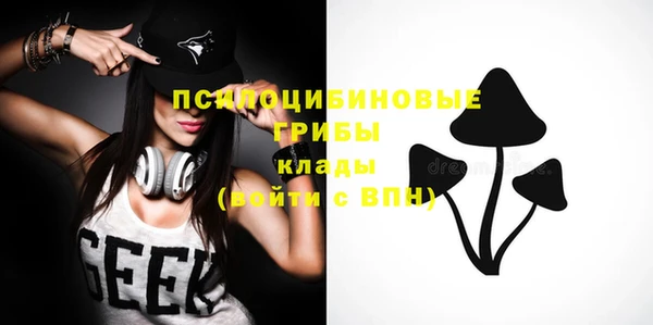 дурь Козловка