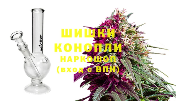 apvp Коряжма
