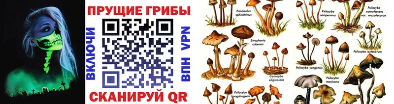 Псилоцибиновые грибы MAGIC MUSHROOMS  Купить где  Георгиевск 